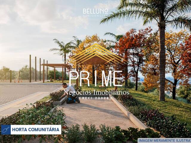 #858 - Apartamento para Venda em Caxias do Sul - RS - 3